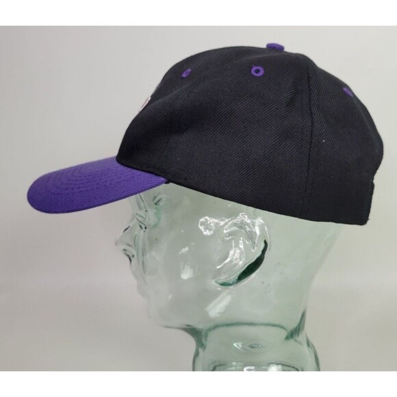 Akron Aeros Adjustable Home Replica Hat Cap Minor League Baseball Bimm Ridder - Picture 6 of 11